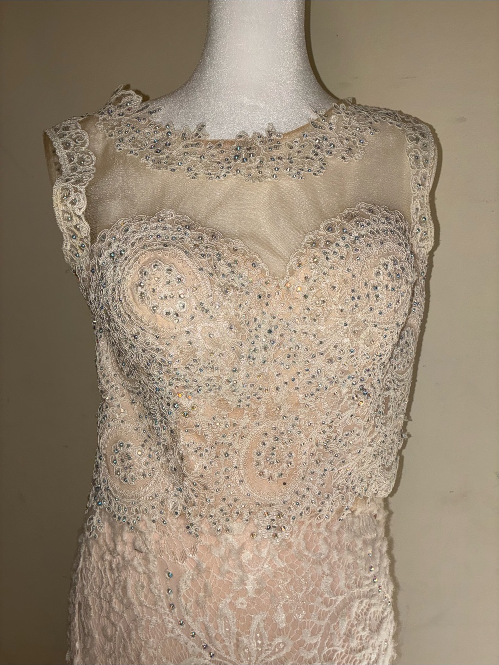 Cecily Brown by David’s bridal Ivory Lace Bridal Wedding dress size 6. - Picture 5 of 9